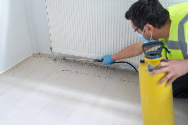 Best Affordable Pest Control Services  in Newburyport, MA