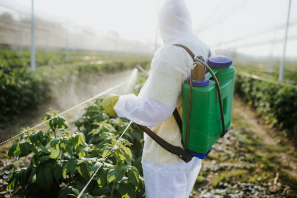 Reliable Newburyport, MA Pest Control Solutions